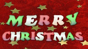 CHRISTMAS PARTY @ Weeki Wachee Eagles | Weeki Wachee | Florida | United States